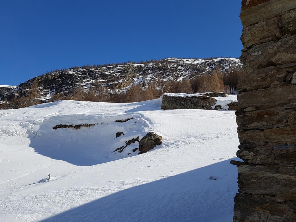 شقة Monte Rosa ساس-غروند المظهر الخارجي الصورة