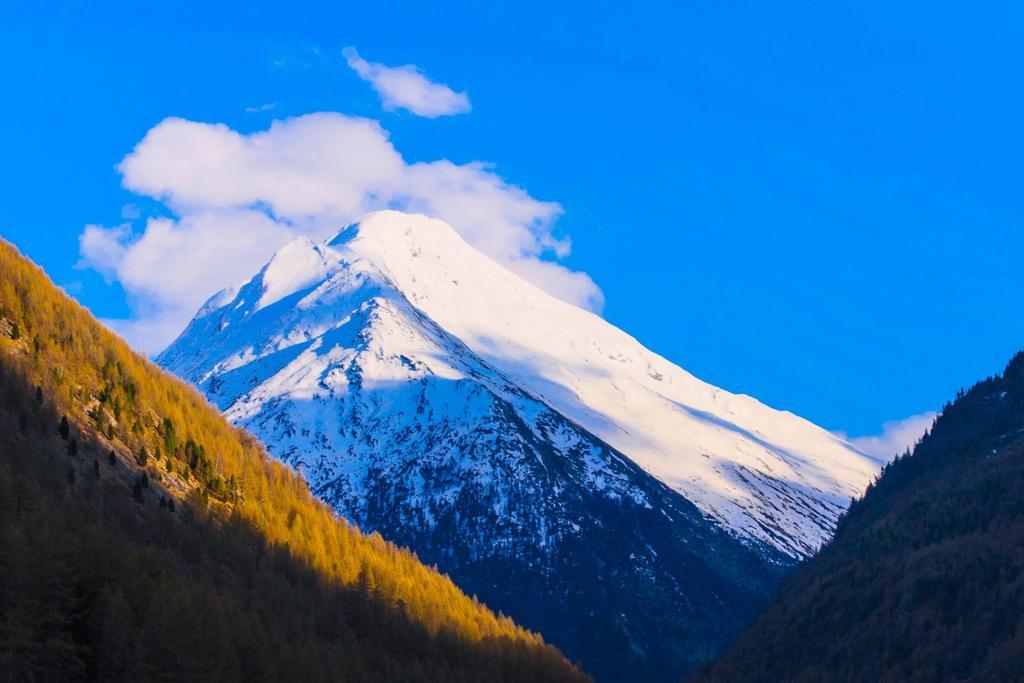 شقة Monte Rosa ساس-غروند المظهر الخارجي الصورة
